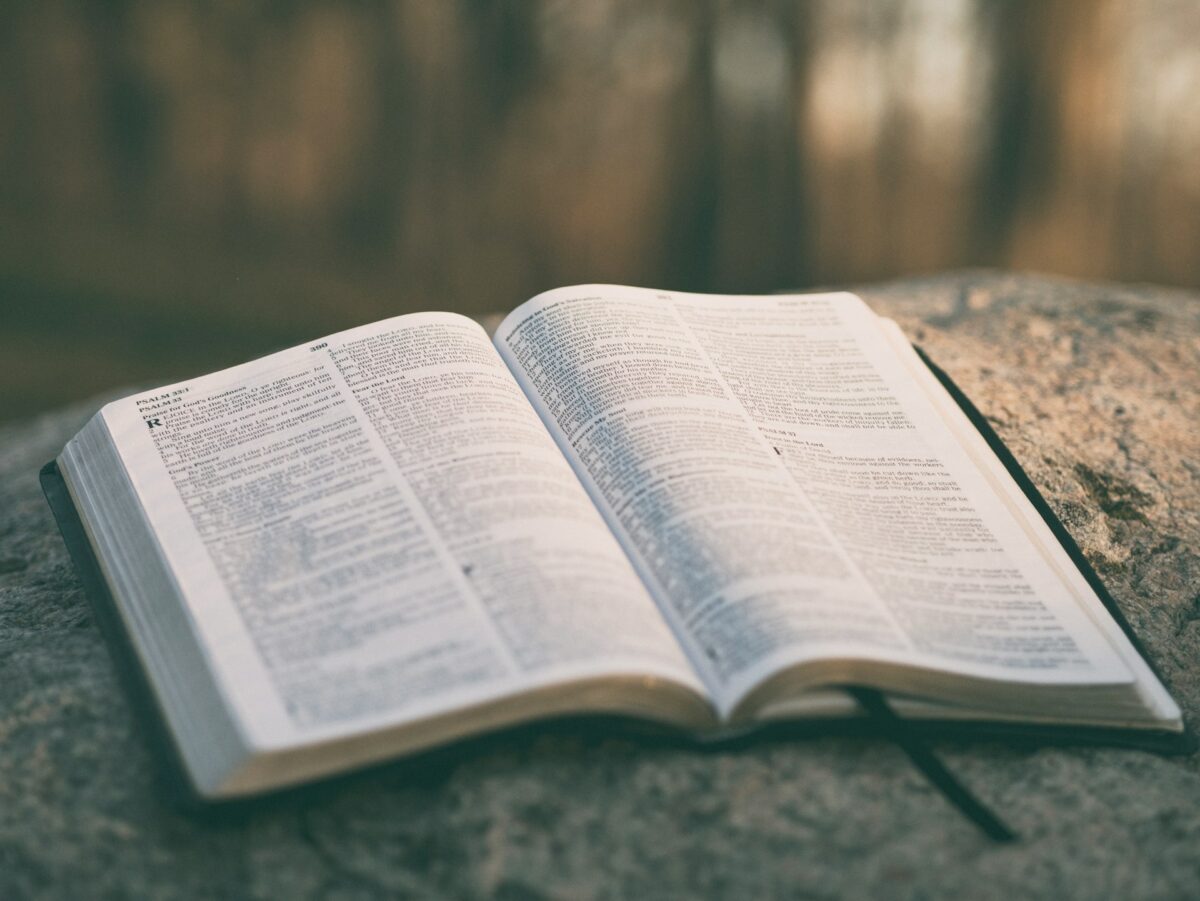 Discover Four Truths of the Risen King