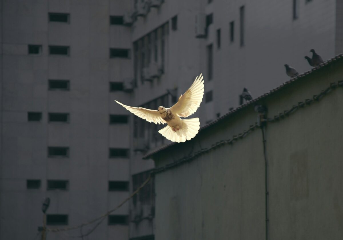 Holy Spirit